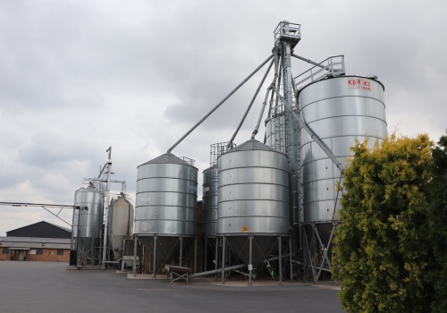 Polska odbudowuje eksport zboża, lecz wyniki nadal poniżej potencjału