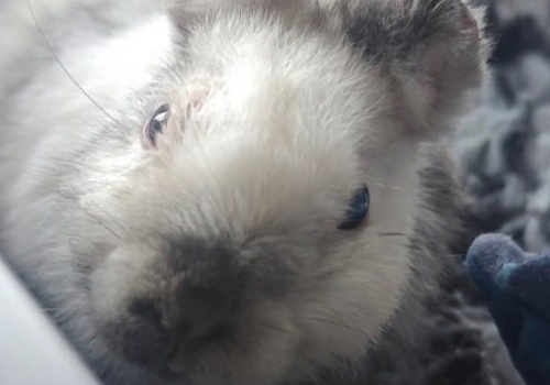 Marcyś zaczyna nowe życie. Happy end, który wydarzył się dzięki ludziom