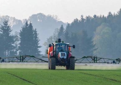 Uwaga na nielegalne środki ochrony roślin. Oszczędność może kosztować znacznie więcej