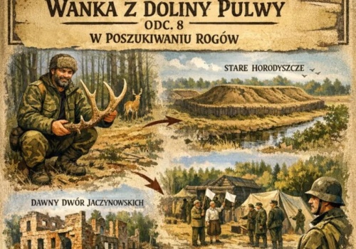 WAŃKA Z DOLINY PULWY. ODC. 8. W POSZUKIWANIU ROGÓW