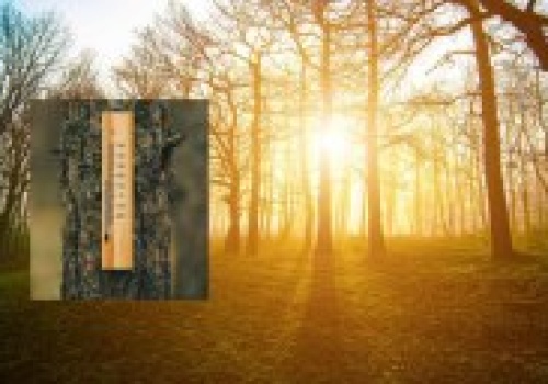 Wiosna na horyzoncie. Taką temperaturę wskażą termometry