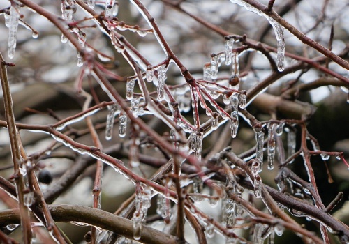 Wiosenna odwilż na horyzoncie. Termometry wskażą ponad 13 stopni Celsjusza