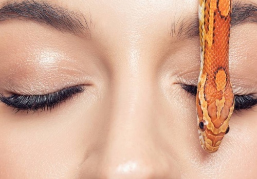 Jad żmii na zmarszczki to nowy hit 2026! Pozbądź się kurzych łapek i lwiej bruzdy