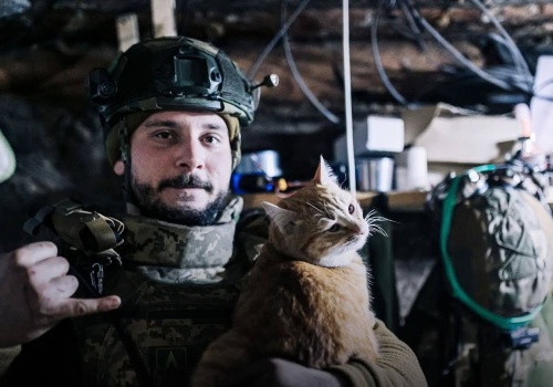 Wojna Rosji z Ukrainą. Dzień 1458