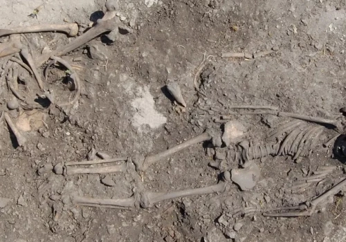 Rodzinne pochówki sprzed 5500 lat. Taki zwyczaj zaskoczył badaczy