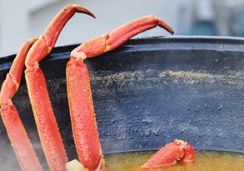 W wielu krajach gotuje się je żywcem, a czują. W Wielkiej Brytanii tego zakazano