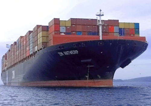 Izraelscy pracownicy nie zgadzają się na przejęcie ZIM. Rozpoczęli strajk generalny