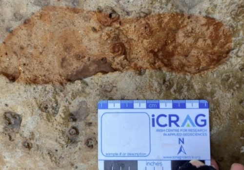 Wyścig z czasem. Odkryli starożytne ślady stóp na szkockiej plaży