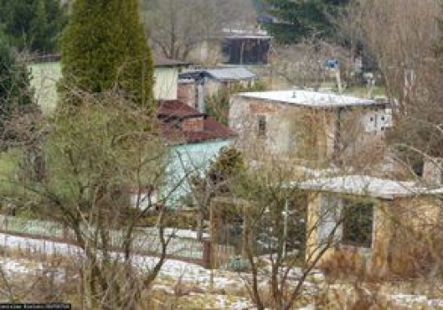 5 tys. zł kary dla działkowców. Urzędnicy mierzą odległości od płotu