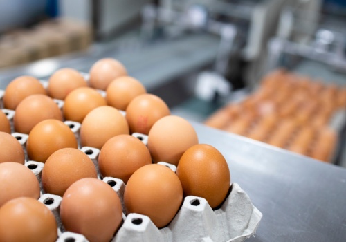 Jaja z salmonellą trafiły do sklepów. Pilny komunikat GIS 20.02.2026