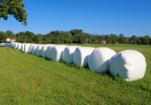 Zastosowanie folii pryzmowej