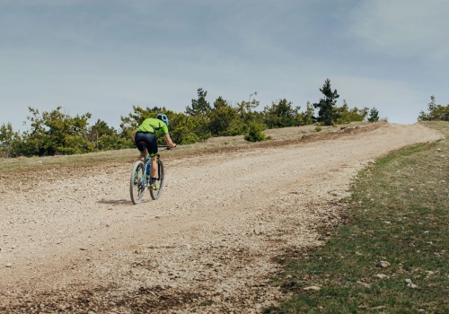Jak zaplanować trening z hantlami w domu?