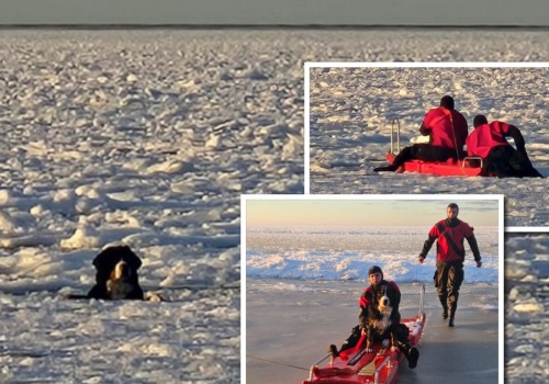 Zoja tonęła w lodowatym Bałtyku. Z remizy nadeszły wspaniałe wieści!