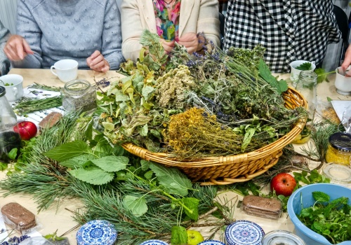 Biblioteka w Raciborzu zaprasza na wykład: Sekrety ziołowej natury