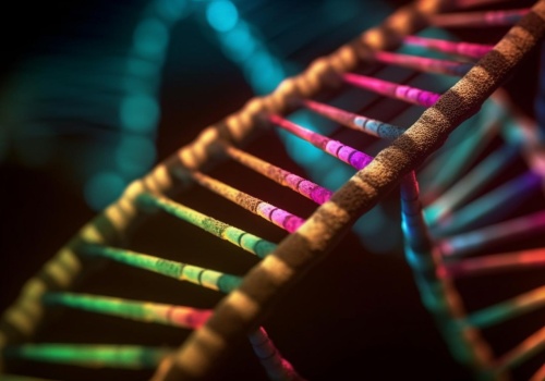 DNA z Gotlandii zmienia obraz epoki kamienia. Jest starsze od egipskich piramid