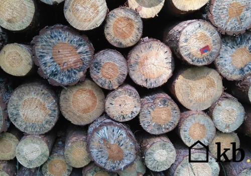 To drewno bardziej dymi, niż grzeje. Paląc nim tracisz nawet 30% ciepła