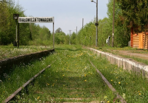 Pociągi dalekobieżne nie pojadą do Białowieży