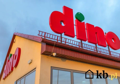 12 zł mniej za codzienną kawę. Dino zaskakuje dużą obniżką