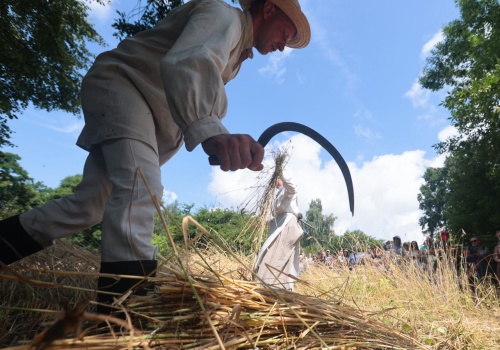 Wolontariat w skansenie. Muzeum Wsi Lubelskiej poszukuje chętnych do współpracy