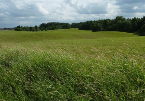 Prawie 240 ha gruntów do dzierżawy z KOWR pod Olsztynem