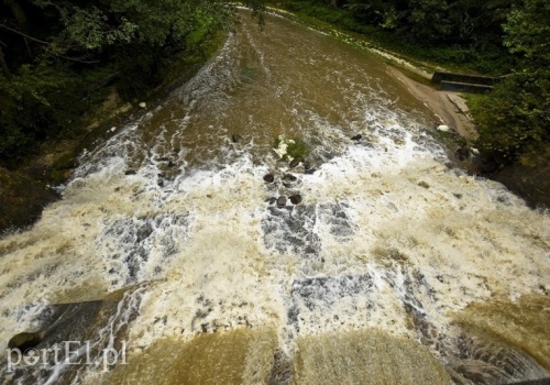 Czas na quiz. Czekając na wiosnę