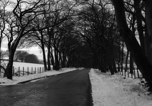 Marznące opady w znacznej części kraju
