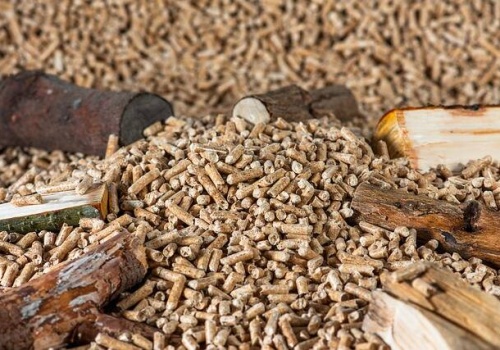 Ochrona lasów nie odpowiada za wzrost cen pelletu – odpowiedź na list Polskiej Izby Gospodarczej Przemysłu Drzewnego