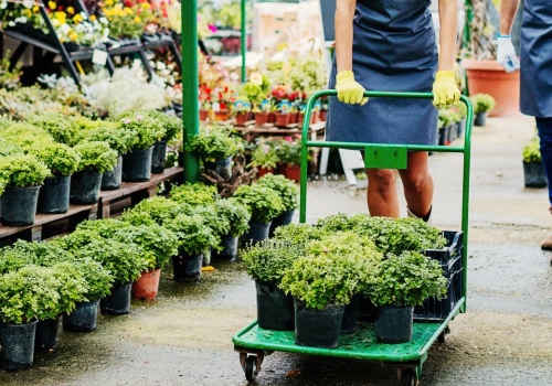 UE wprowadza zakaz. Wielkie zmiany w sklepach, Polacy nie znajdą ich więcej do kupienia