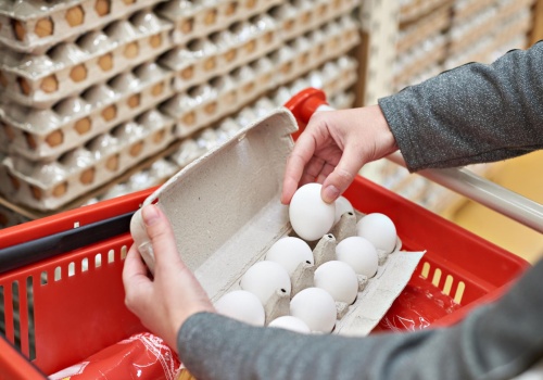 Groźna salmonella w jajach!