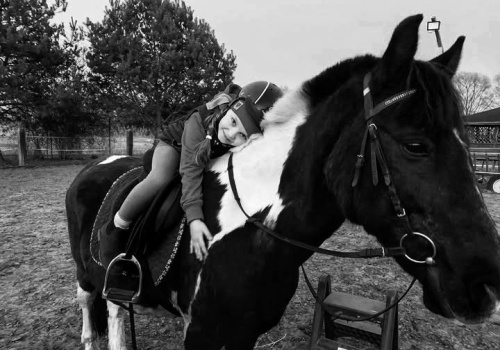 Trzy konie nie żyją, kolejne walczą o życie