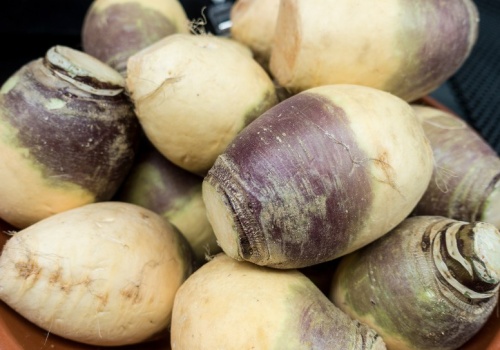 Kojarzy się z biedą, a to skarbnica zdrowia. Polacy znów po nią sięgają