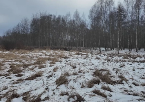Jaworzno mało znane  – Długoszynek - osada pełna tajemnic
