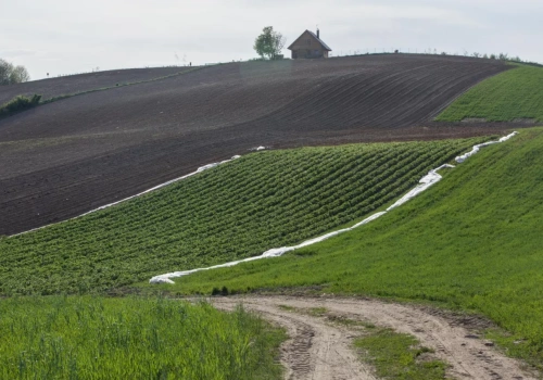 Czy dzierżawa ziemi daje prawo do ubezpieczenia w KRUS?
