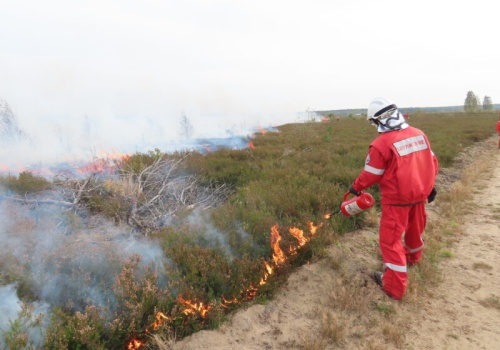 W Instytucie Badawczym Leśnictwa powstał zespół FireTeam