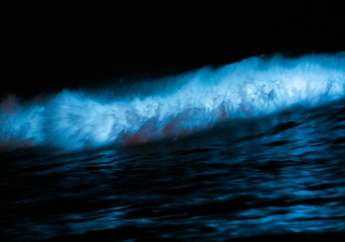 El Niño powraca w 2026 roku. Niepokojące prognozy amerykańskich i australijskich meteorologów