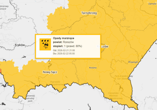 IMGW ostrzega przed niebezpiecznym zjawiskiem. Alert dla Rzeszowa i okolic