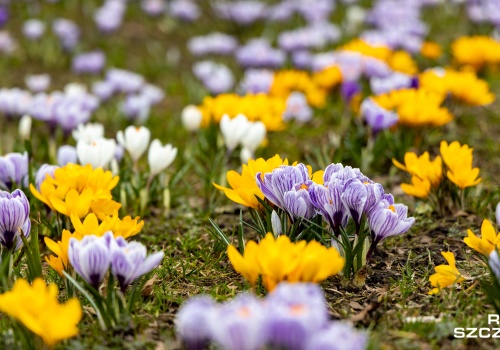 Zima w odwrocie? Eksperci jednocznacznie