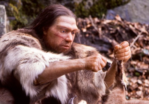 Odkryli granicę wieku człowieka i neandertalczyka. Ile można żyć?