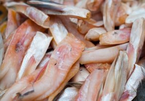 Te ryby nie są najlepszym wyborem. Lepiej wiedzieć o tym przed zakupem