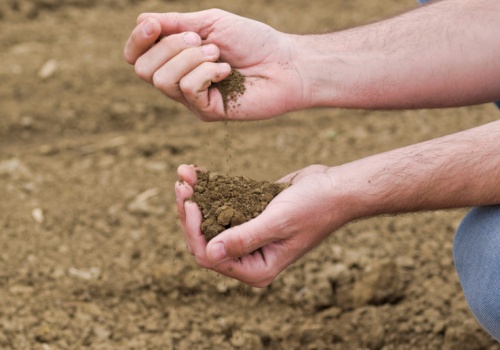 Definicja rolnika aktywnego potrzebna, ale inna. Wyniki Ogólnopolskiego Badania Farmera