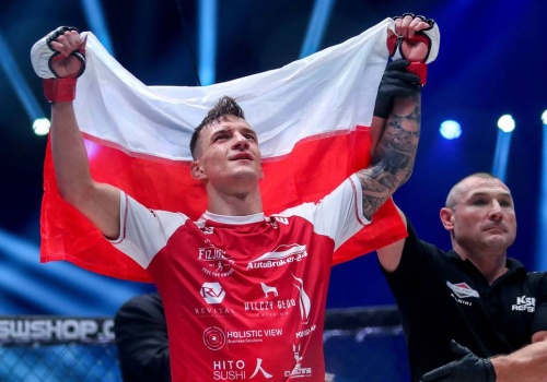 KSW 115. Wyniki walk live