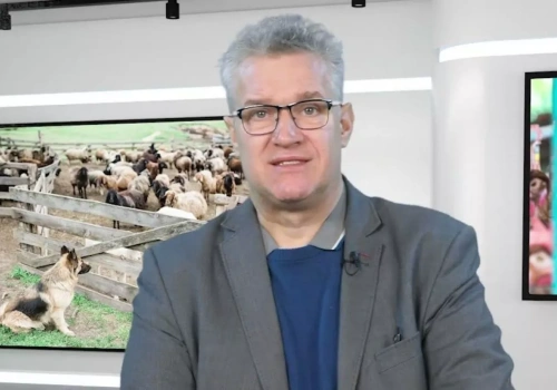 Wolny handel? Rolnicy widzą rachunek: tanie jaja i ser po 7 zł