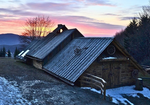 Przypomina górską głuszę. Jest lepsze od Tatr i Bieszczad. Wszystko zaledwie godzinę od Krakowa
