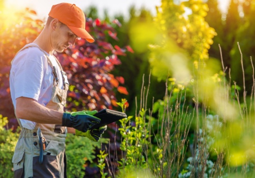 MEN kasuje ze szkół 6 zawodów bez przyszłości. Na liście ogrodnik