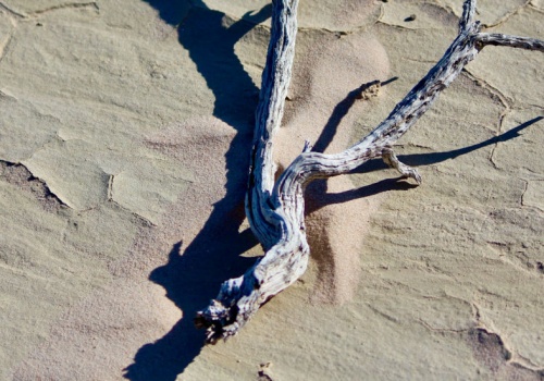 Laureat nobla stworzył przełomową maszynę. 