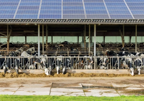 Panele i magazyn energii dla gospodarstwa: jak dobrać moc do zużycia prądu