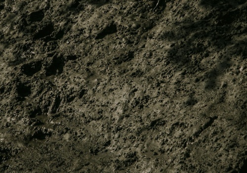 Kosmiczne grzyby ujawniają niesamowite możliwości. To zdecydowanie nam się przyda