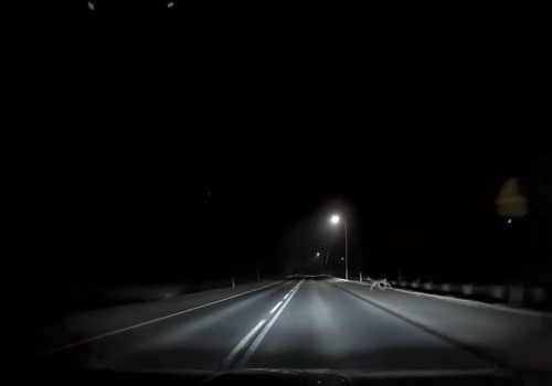 Nocny atak rogacza. Auto w starciu z dzikim zwierzem