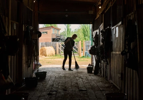 Polacy oburzeni ofertą pracy w Niemczech. „Żenada”, „żart”
