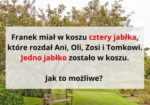 Potrafisz myśleć kreatywnie? Spróbuj rozwiązać kłopotliwą zagadkę z jabłkami